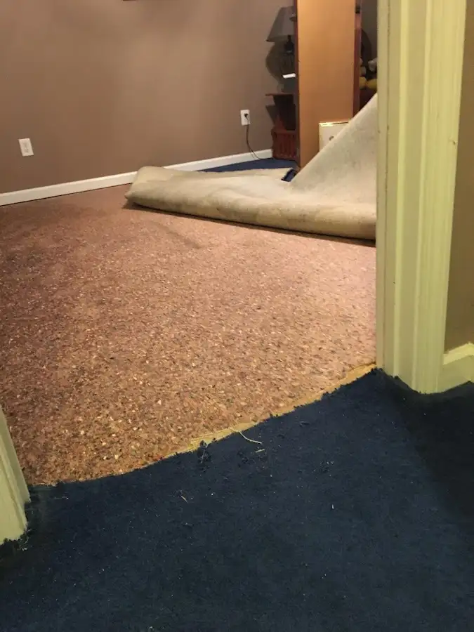 Carpet pad removal revealing water damage during Drying & Dehumidification in Shelby