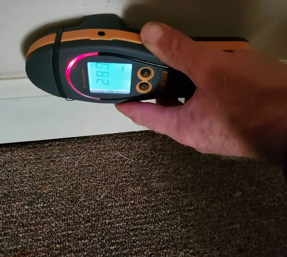 Moisture detection at baseboard during Sewage Cleanup & Sanitation in Shelby